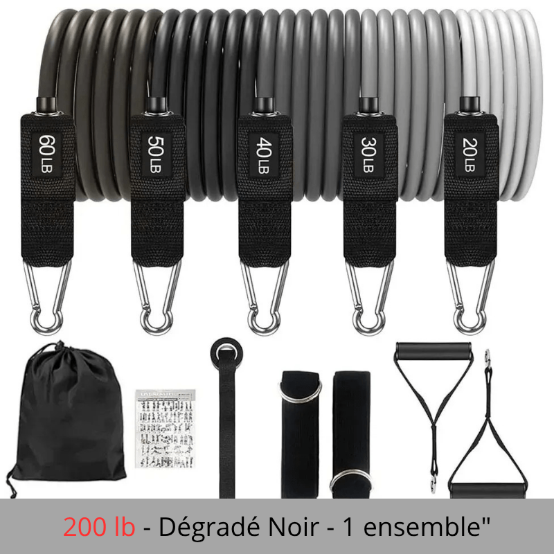 ÉLASTIQUE MUSCULATION |POWER ROPE - Fitstoremaison