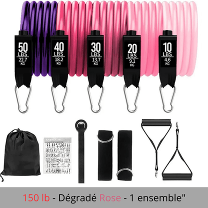 ÉLASTIQUE MUSCULATION |POWER ROPE - Fitstoremaison