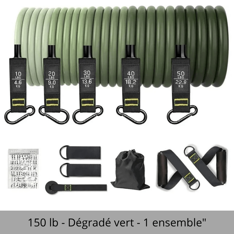 ÉLASTIQUE MUSCULATION |POWER ROPE - Fitstoremaison